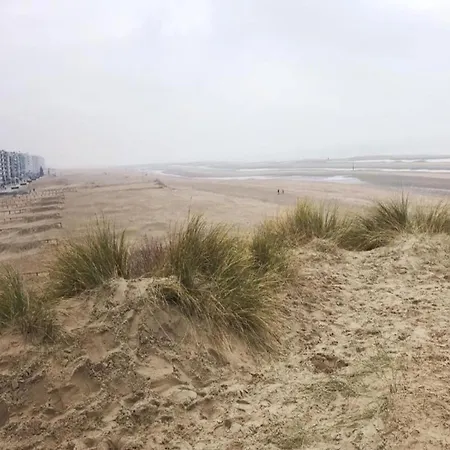 In St-idesbald Near Sea